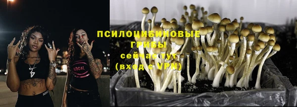 бошки Магас